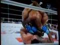 quinton rampage jackson vs ricardo arona