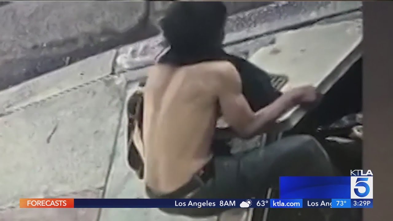 Homeless Man Found Living in Underground Vault Outside Museum in Los ...