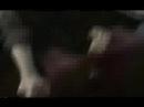 Yo Mamma-transit style