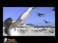 Animais divertidos