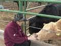 Temple Grandin: Animals Make us Human