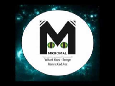 Valiant Coos – Bongo (Original mix)
