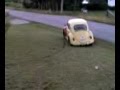 Lawn Job Fail