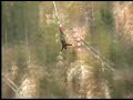 www.faceadrenalin.com Bloukrans Bungy Carla Vela