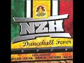 NZH - La vibe es bonne