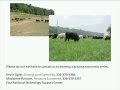 Gain an understanding of the importance of the forage-animal balance ... and the  economic ...