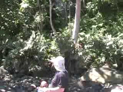 0 Turismo en la Isla de Coco