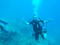 Dennis Grattan Reid giving guided tour of the cliffs