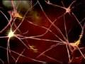 Genetic Causes of Epilepsy (Health Guru)