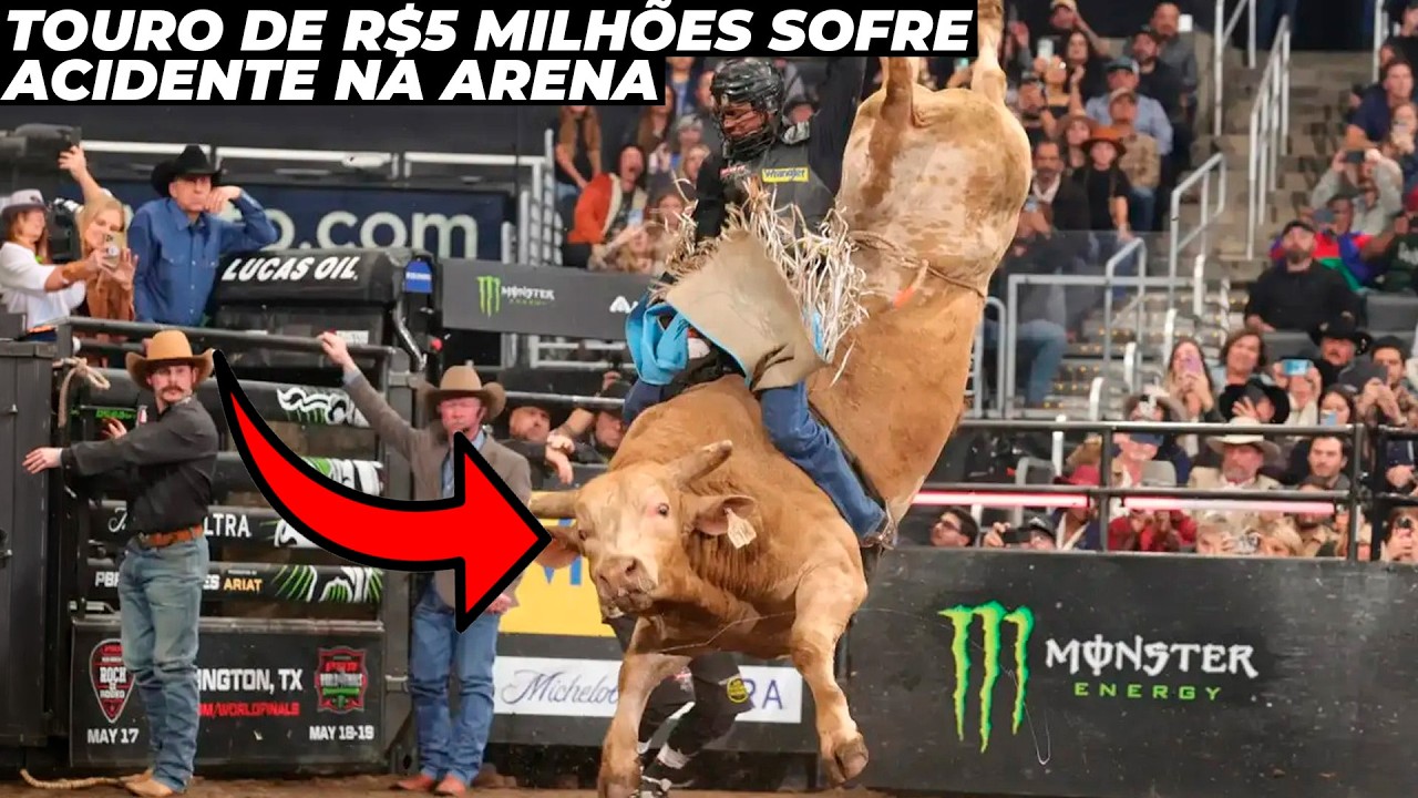 Melhor touro de rodeio do mundo perde a vida por motivo inacreditável