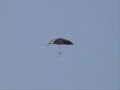 the floating umbrella song