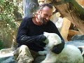 Cheeky Knut and Daddy having fun!
