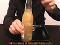 Search Video