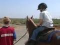 Horseplay