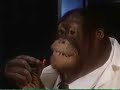 Monkey-ed Movie: James Bond version 2