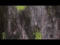videos de Montana Texture DVD