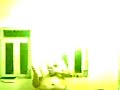 my bartending tricks my bartending tricks