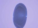 cell model cg 3d max 9 scanline renderer cell model cg 3d max 9 scanline renderer