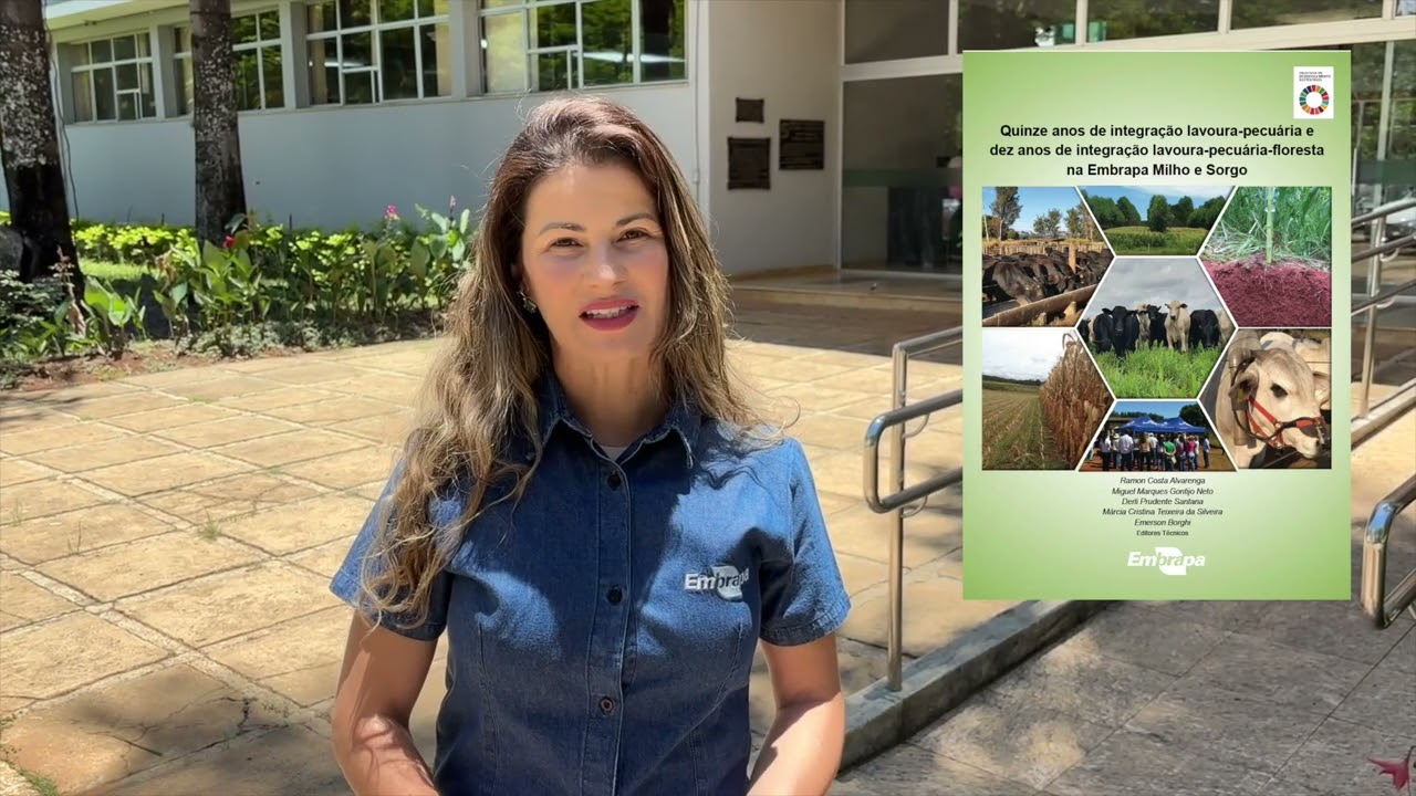 Embrapa disponibiliza livro sobre resultados com Integração Lavoura-Pecuária-Floresta