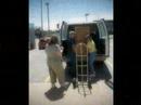 Ferris State University Dump & Run 2007