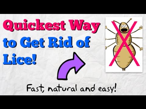 how to get rid hair lice