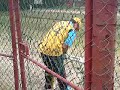 Ponting in the nets before playing India at the 2009 Champions Trophy Final