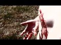 videos de SPARTAA