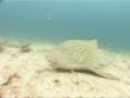 Thailand Diving 2 Thailand Diving 2