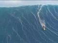 surf