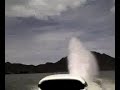 Ruff ride