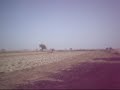 NEW HOLLAND 8340 WITH LASER BLADE IN N.MALGARA