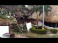How they built the Punta Cana thatched-roof airport terminal