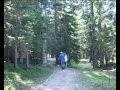 zabljak i crno jezero