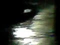 MOV00708