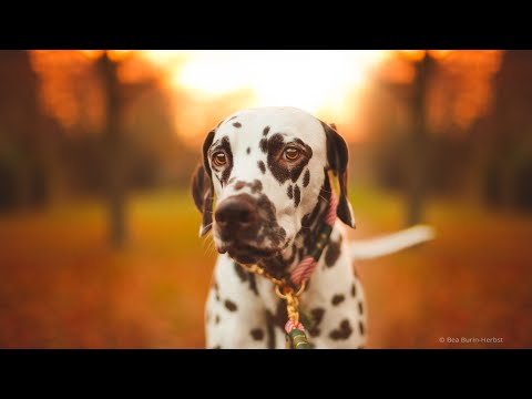 New Enhancements in Exposure X4.5