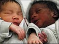 Esau was white and Jacob was black. (Here Proof)
