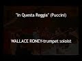 the bob belden ensemble

wallace roney-trumpet soloist

frank szabo, chuck findlay, les lovitt, oscar brashear, snooky young-trumpets

bill lane-french horn, bill watrous-trombone, bill reidenbach-bass trombone, bill roper-tuba

jim walker-flute, sam riney-alto flute, gene cipriano-english horn, gary herbig-bass clarinet, ron janelli-bassoon

ira coleman-bass, ralph penland-drums, bruce hall-timpani

arranged and conducted by bob belden

recorded june 1, 1992 at capitol studio a, hollywood, ca.

recorded by jim anderson

camera by jeff walters