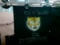 luz y sonido the tiggers boys