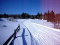 2009-08-05 | Shin Pond, Maine ~> March 2009 Among the many places that I take people snowmobiling througout Main, New Hampshire, and Canada, Shin Pond Village is one of my ... (3:44)