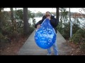 Blowing up a Qualatex 24 inch blue birthday prinred balloon in the park.