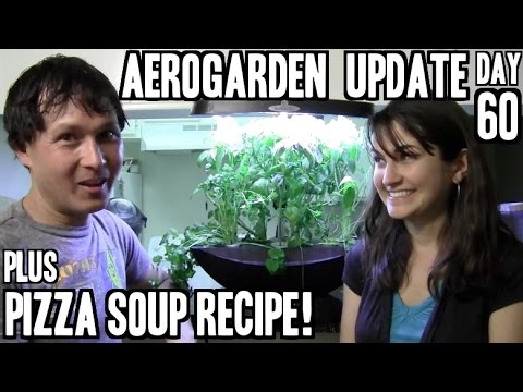 how to harvest aerogarden herbs