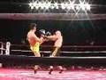 Cung Le fight clip doing San Shou