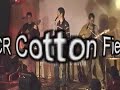 LES 3x  CCR Cotton Field