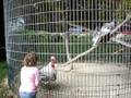 videos de 100808 005