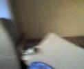 chanbre 338