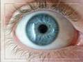 Precocious Idol, Remote Contraception,  Blue Eyed Mutants