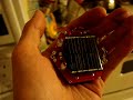 Hexpummer Hexpummer