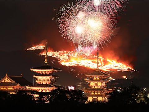 動画