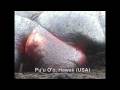 Volcano Video- What are volcanoes, How are volcanoes formed and the types of volcanoes