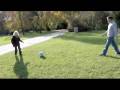 Pige mister ben i Fælledparken